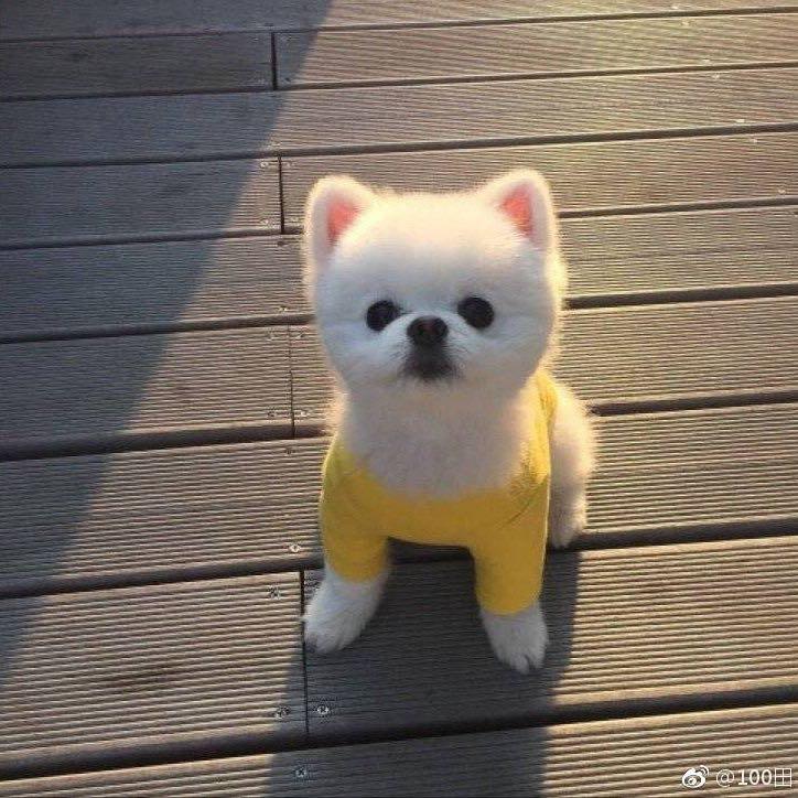 我是一个乡下人