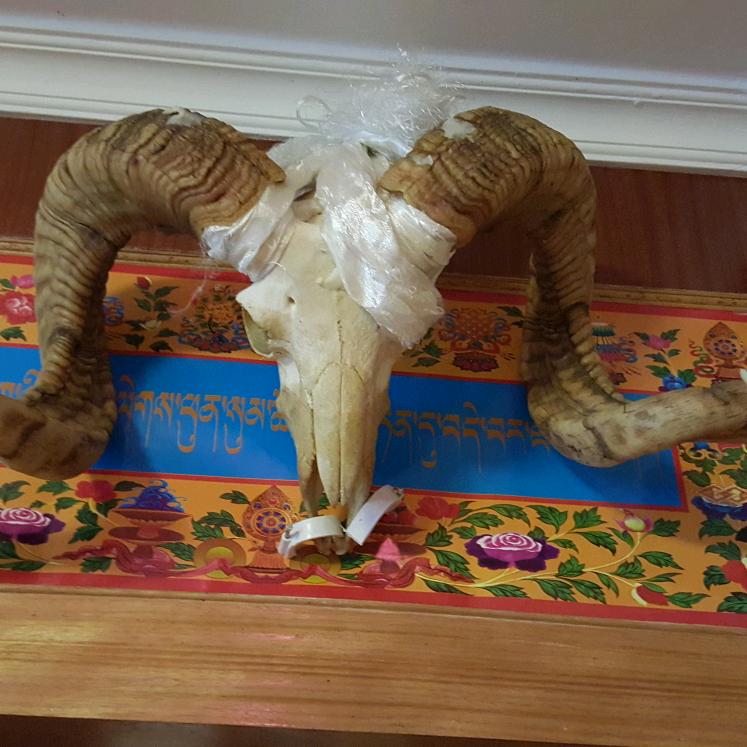 啊边user6183342426387