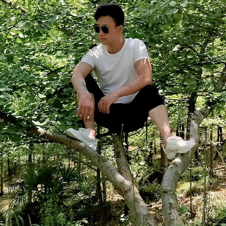 深圳市进出口物流拖车行-彭先生