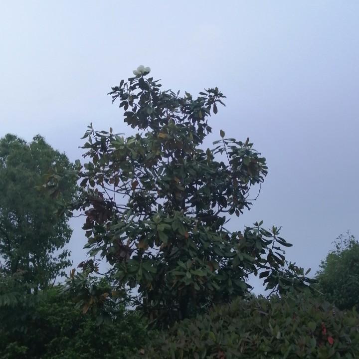 阳光总在风雨后