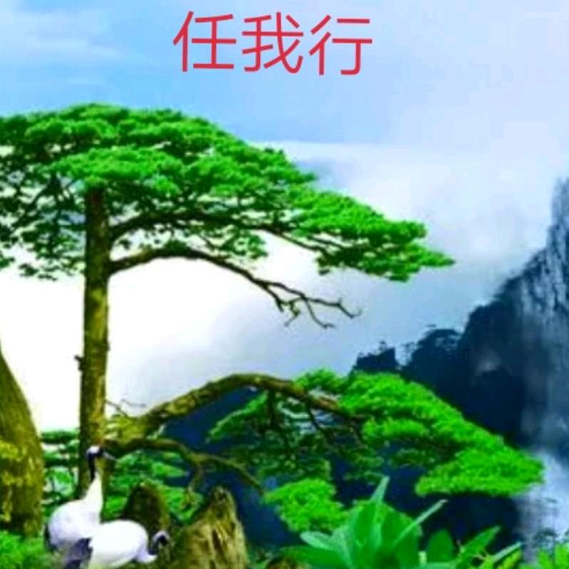 任我行