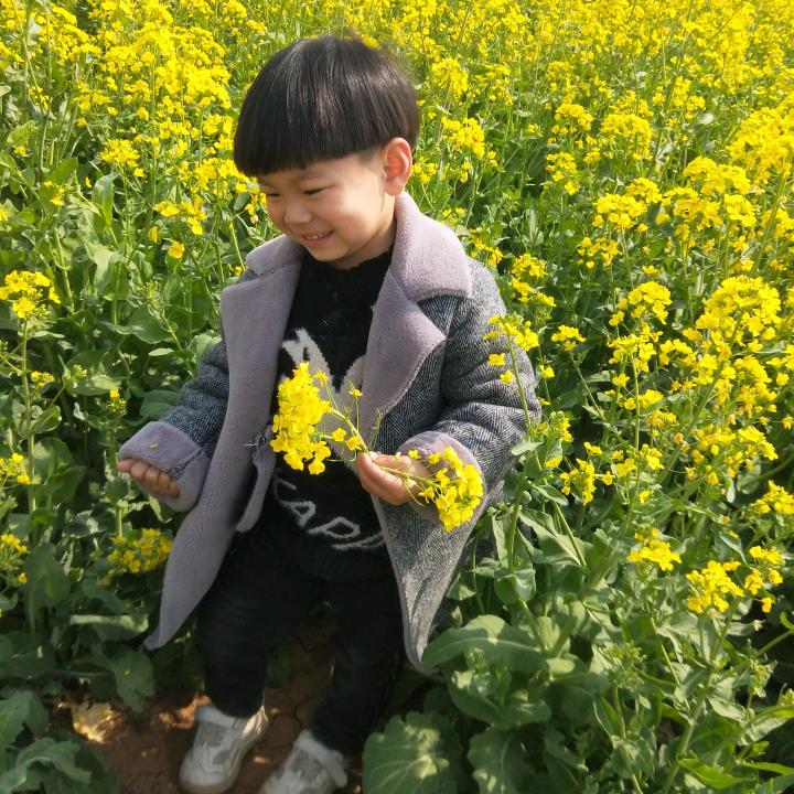 河南=亮哥