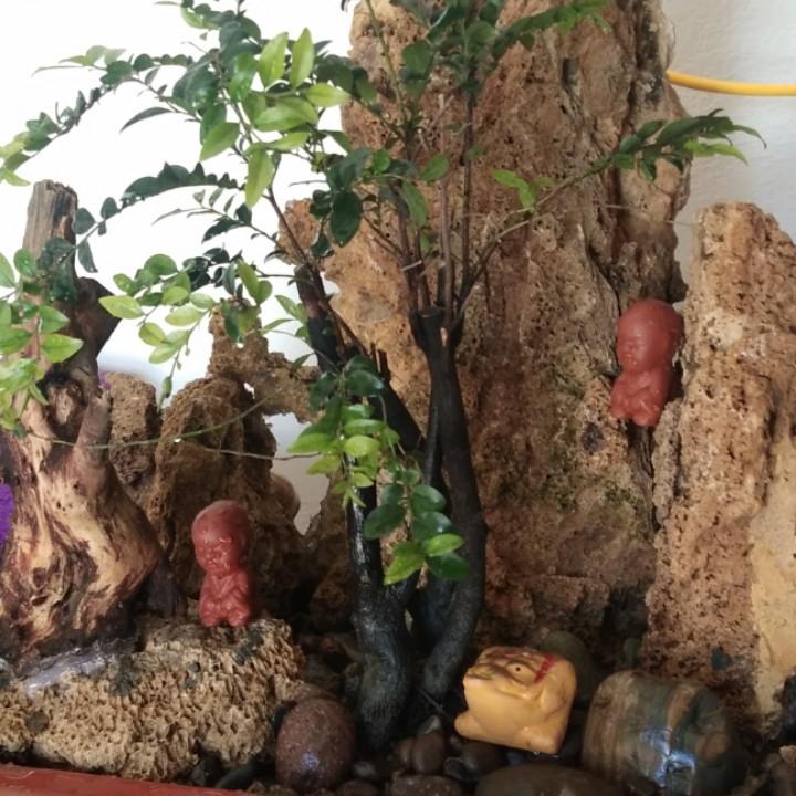 输送带铺房顶铺地面