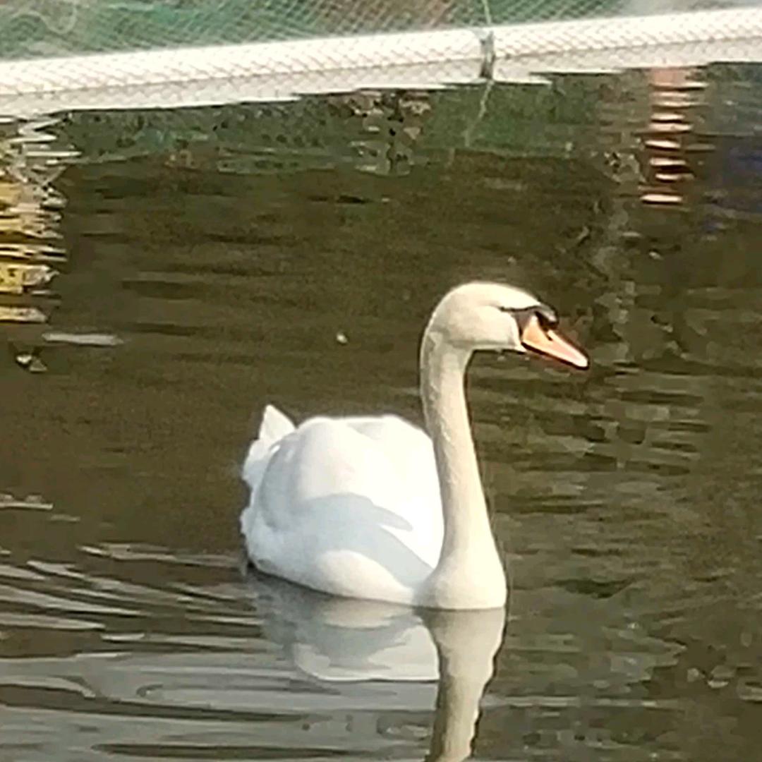 じ¹³杜牟💞¹⁴一笑₅₂ₒ᭄࿐
