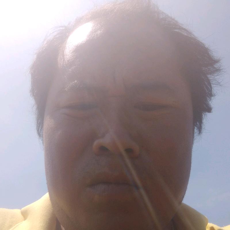 隐形的翅膀