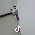 墨染朱印