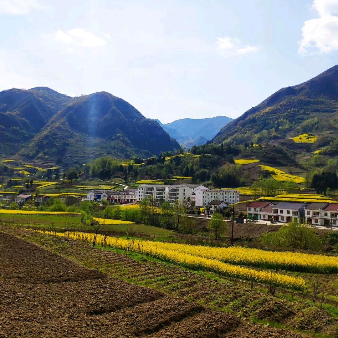 一个教高中的地理老师