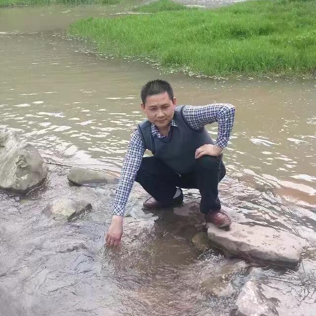 赵飞机