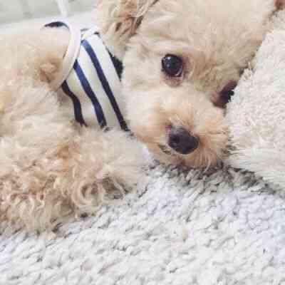 🌈🌈会淡莣ヽ硪