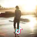 煤炭业务运输赵