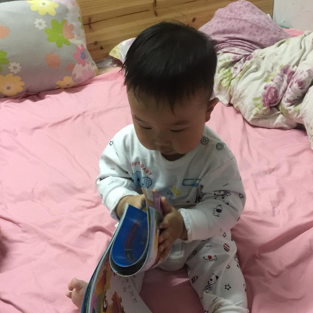 芒果