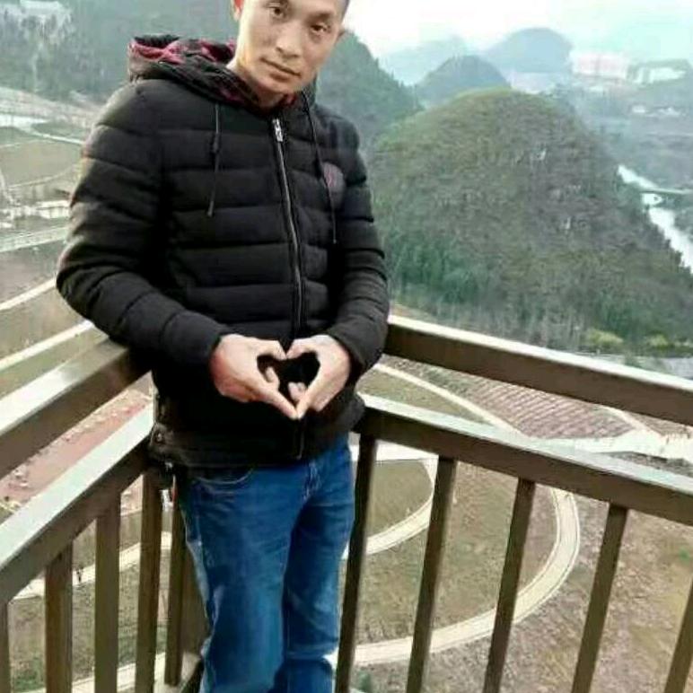 杨进