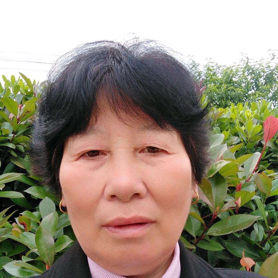 夕阳红
