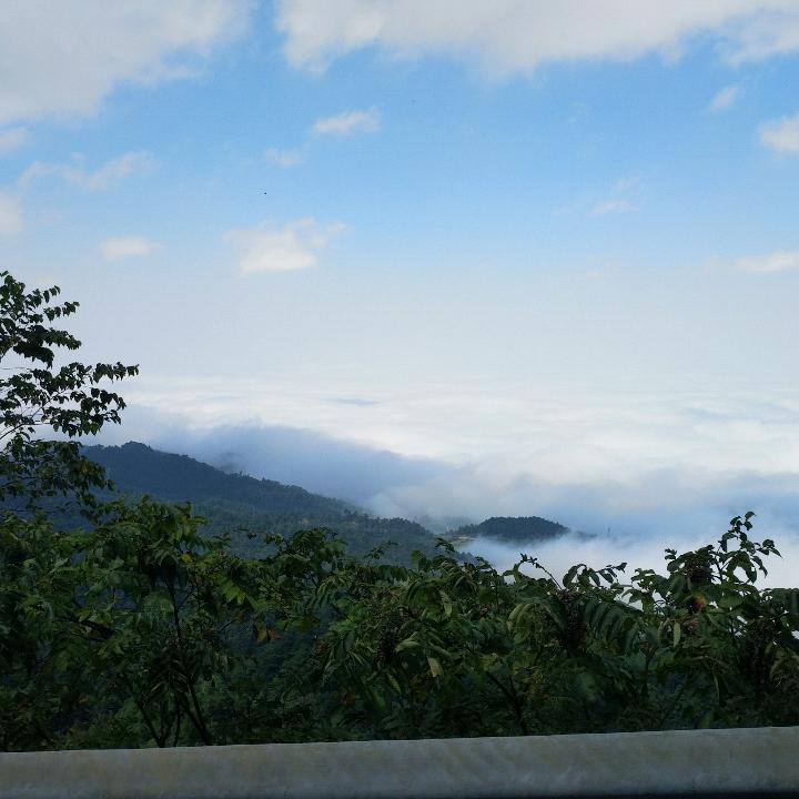 波