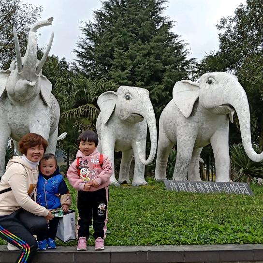 安然无恙(已关注了你)