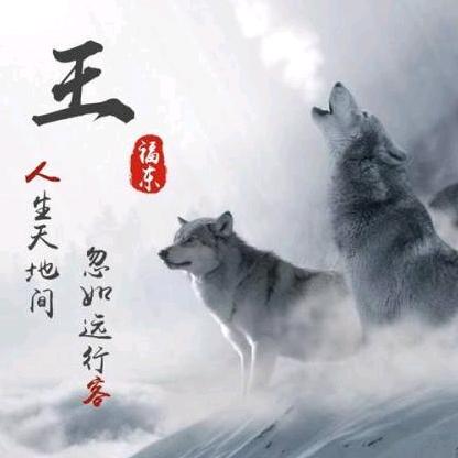 浮华丶半世