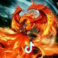 不死鳥一輝🇻