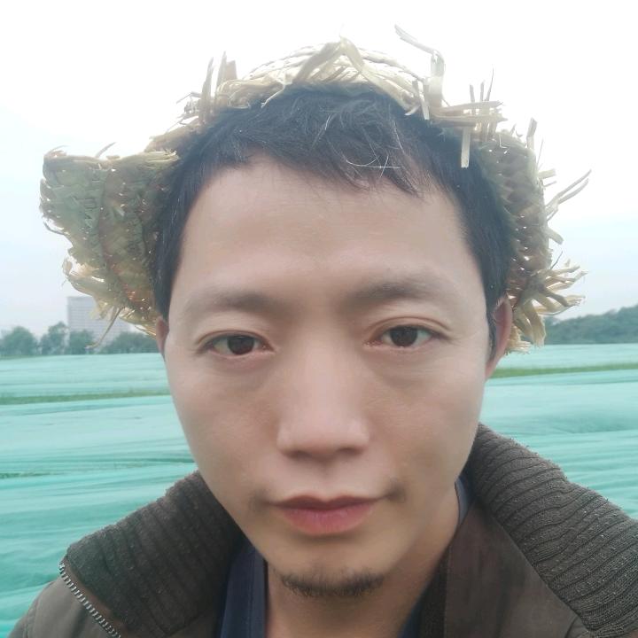 本亮晓哥