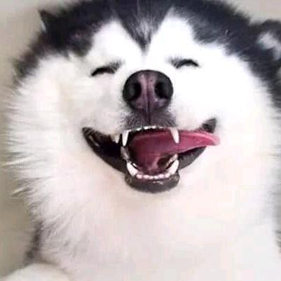 哈哈😄