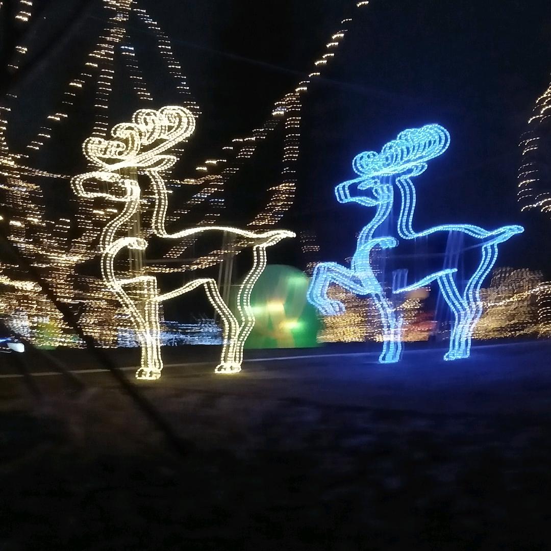 （♡▽♡）牵着蚂蚁去散步