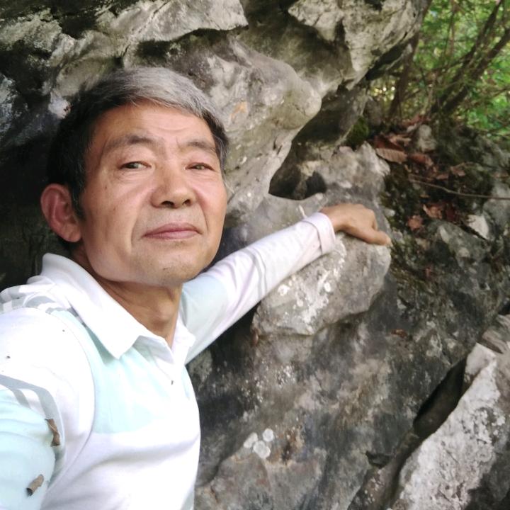 快乐猪官