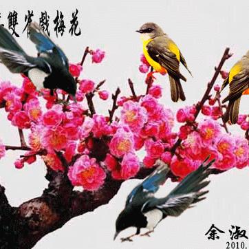 🌹漂🌻落的雪🌴