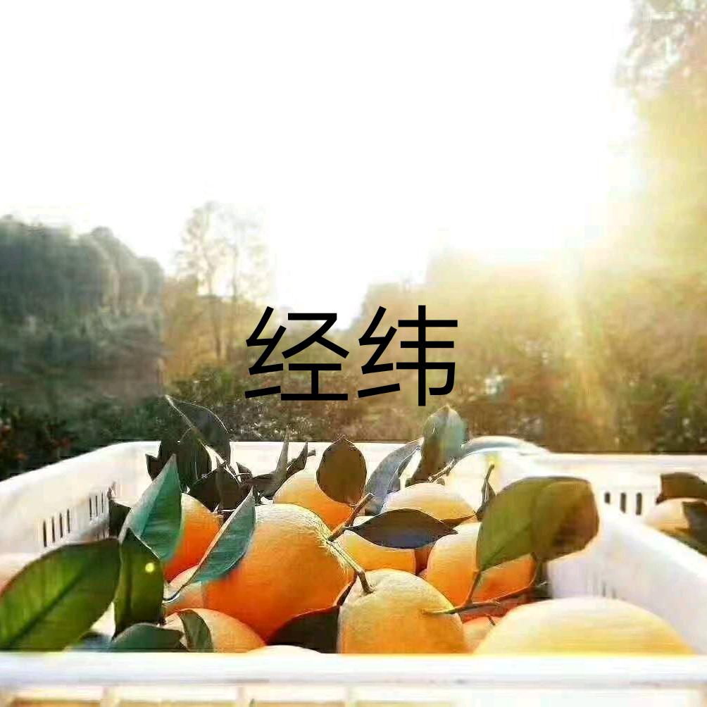 经纬｜勇闯三门峡