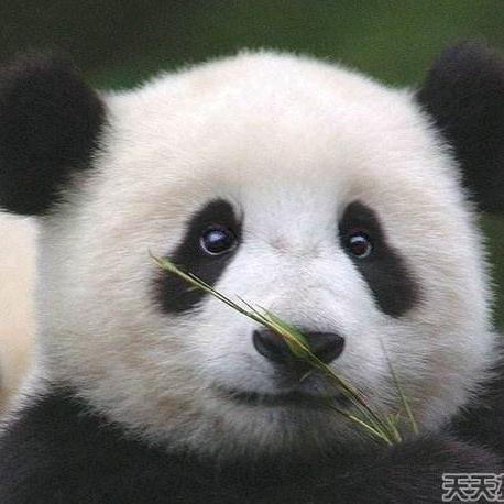 哈尔滨的天