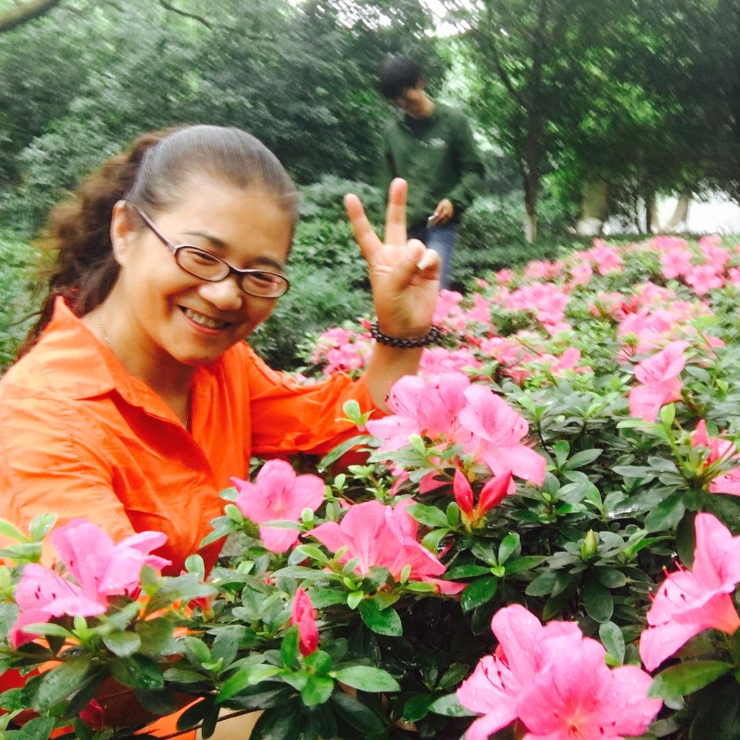 飞芸