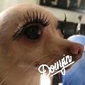 皮皮diu