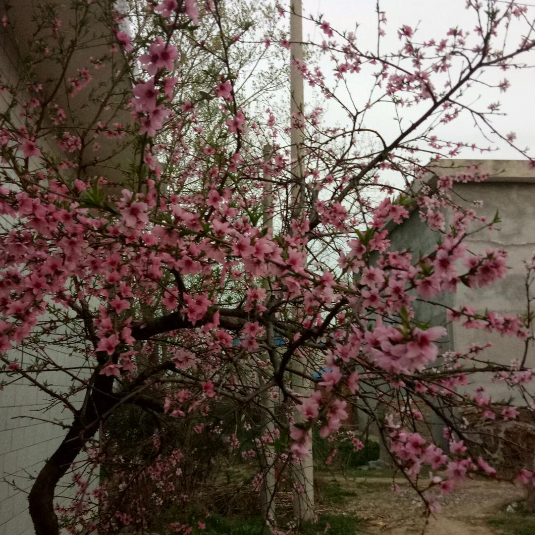 遇见是一种缘分