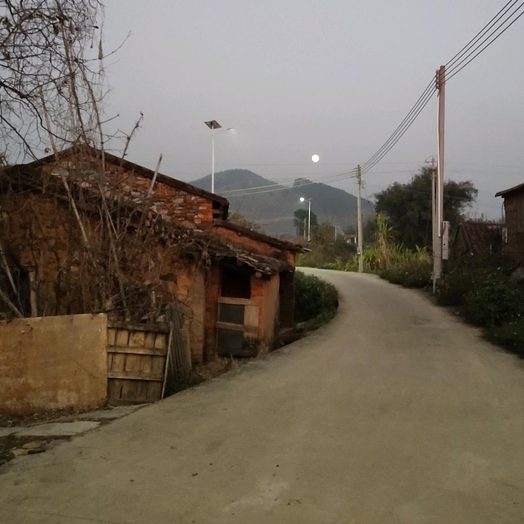 紫君