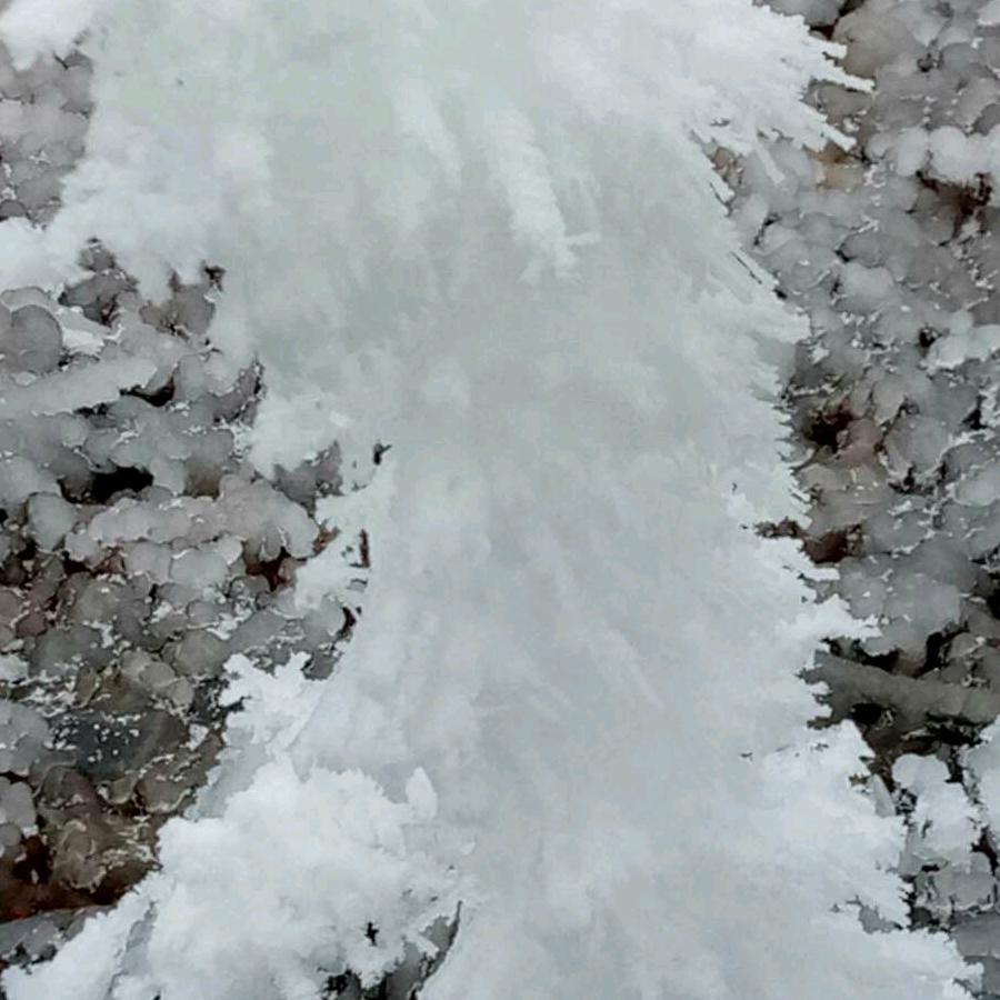 冬雪