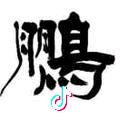 @小鹏哥