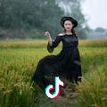云鹤九霄的云