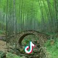 翔哥