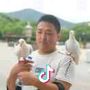 绅临天下