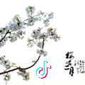 风中雨