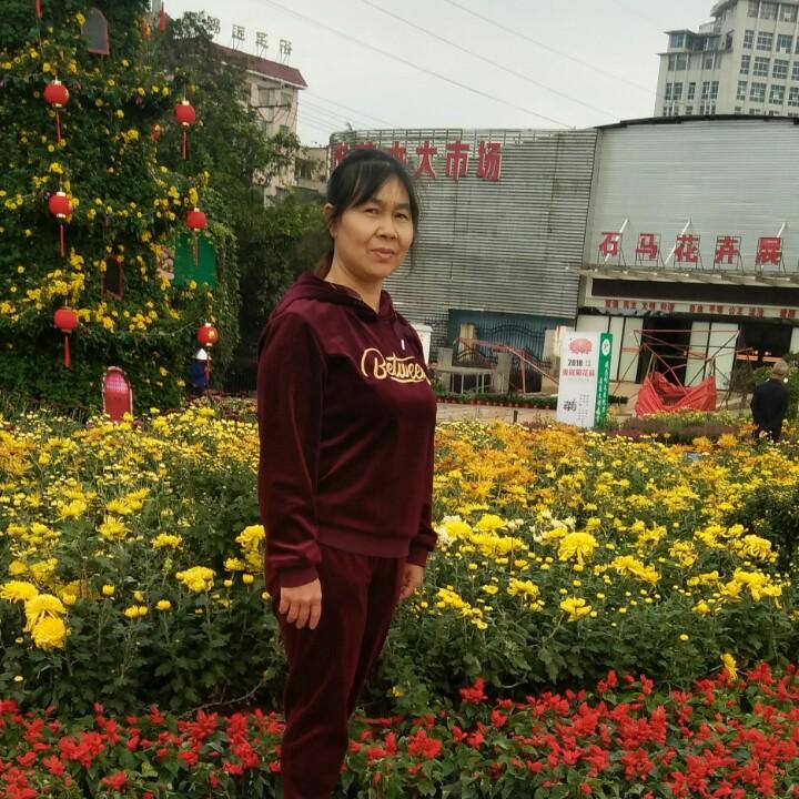 用户1732343791537简单