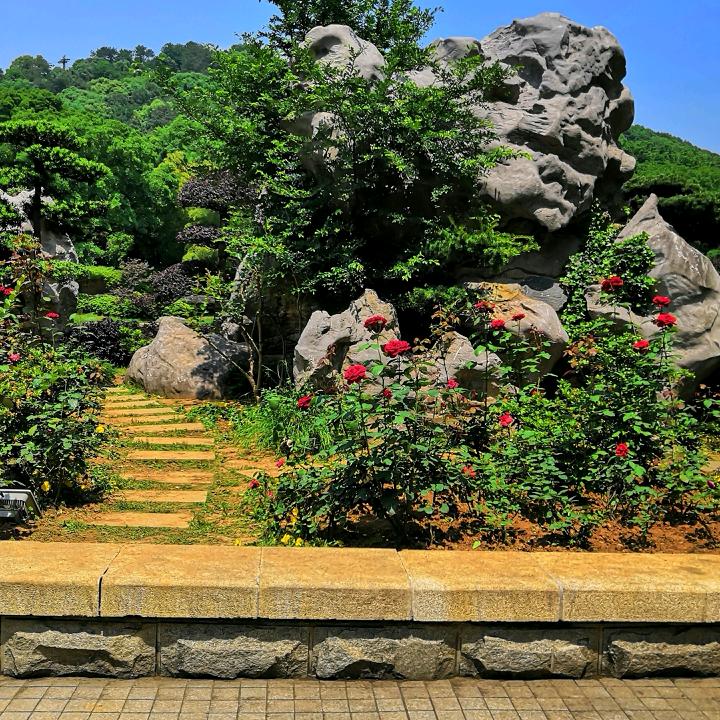 杨保青
