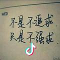 緣分之