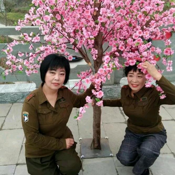 梦醒时分