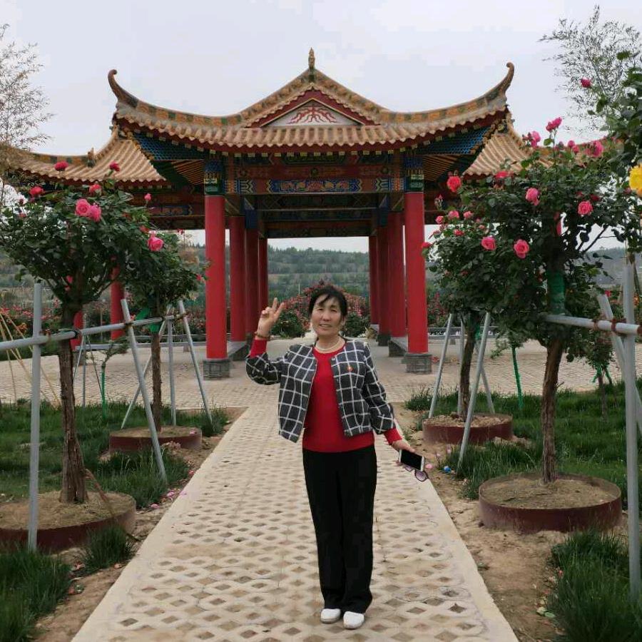 四季如花