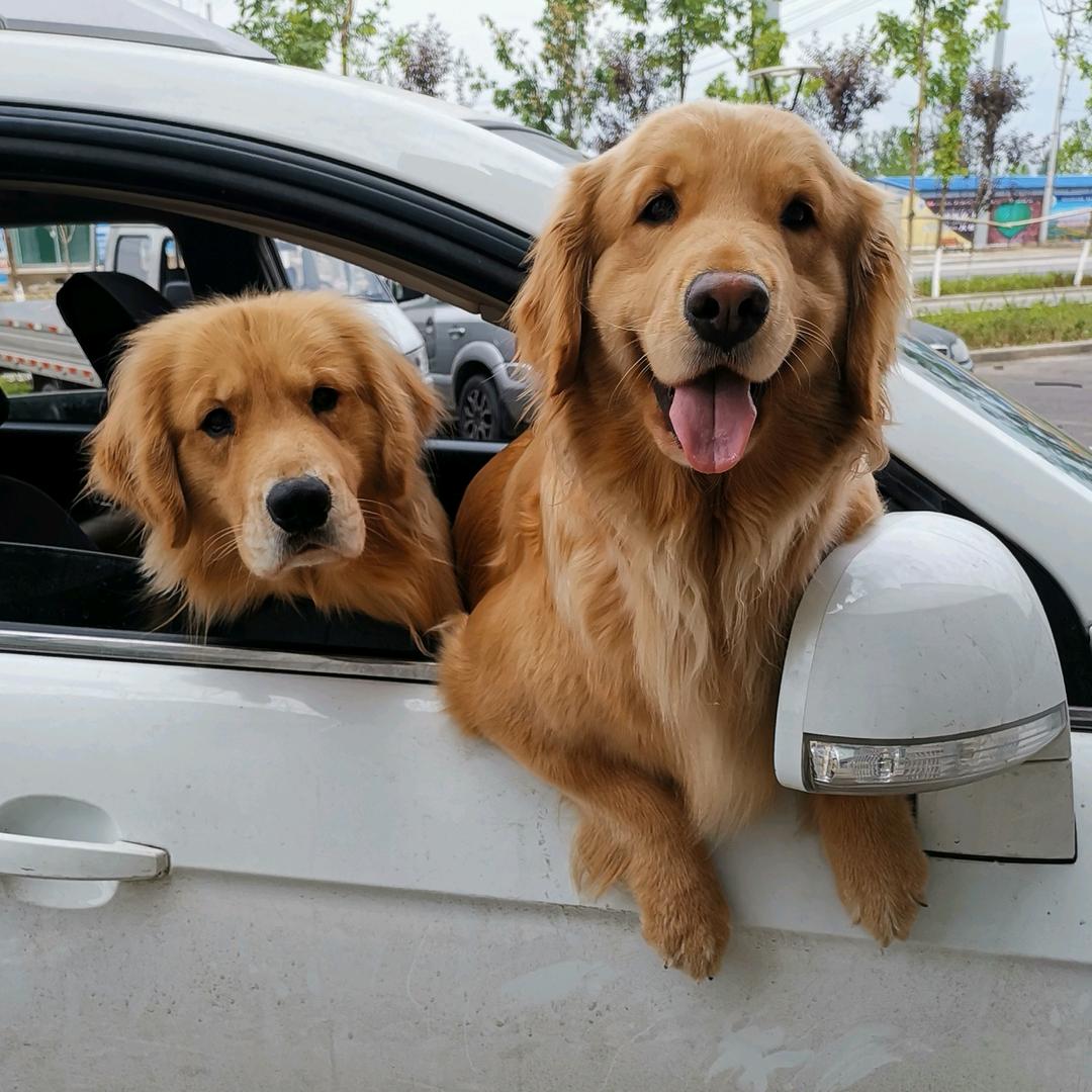 王者荣耀的妈妈