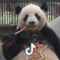 幕后煮屎人