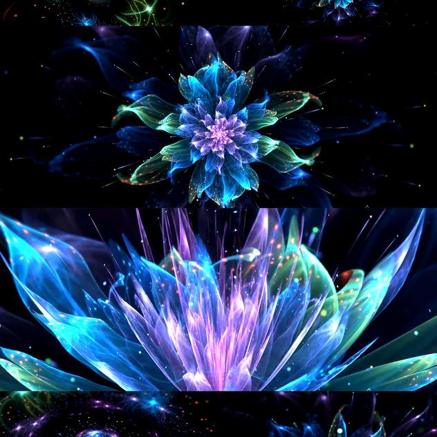 一斗禾子