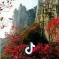 缘份