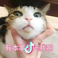 渣渣亮