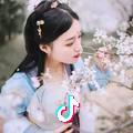 茶 如人生～sky