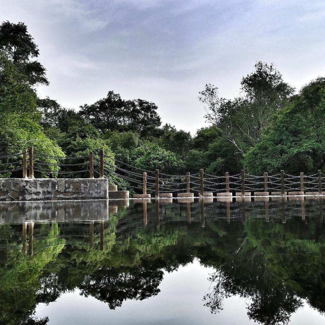 天涯亮子